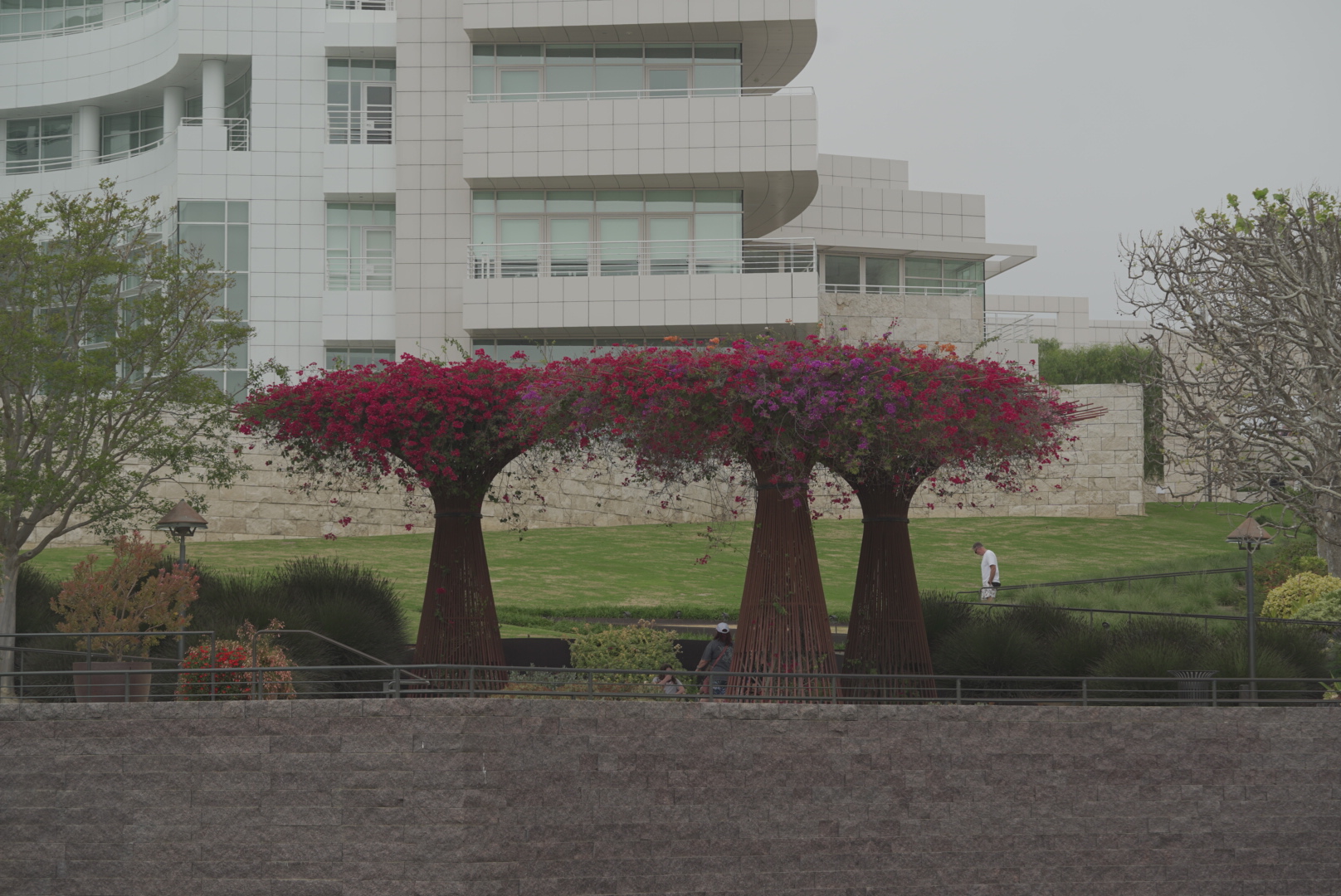 Modern garden building surrounded by greenery